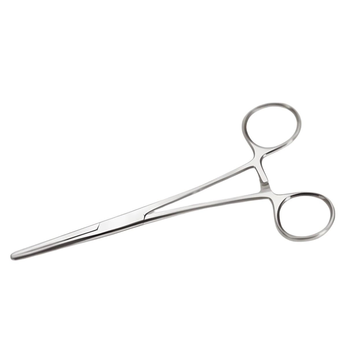 SCZ STRAIGHT HEMOSTAT 10IN