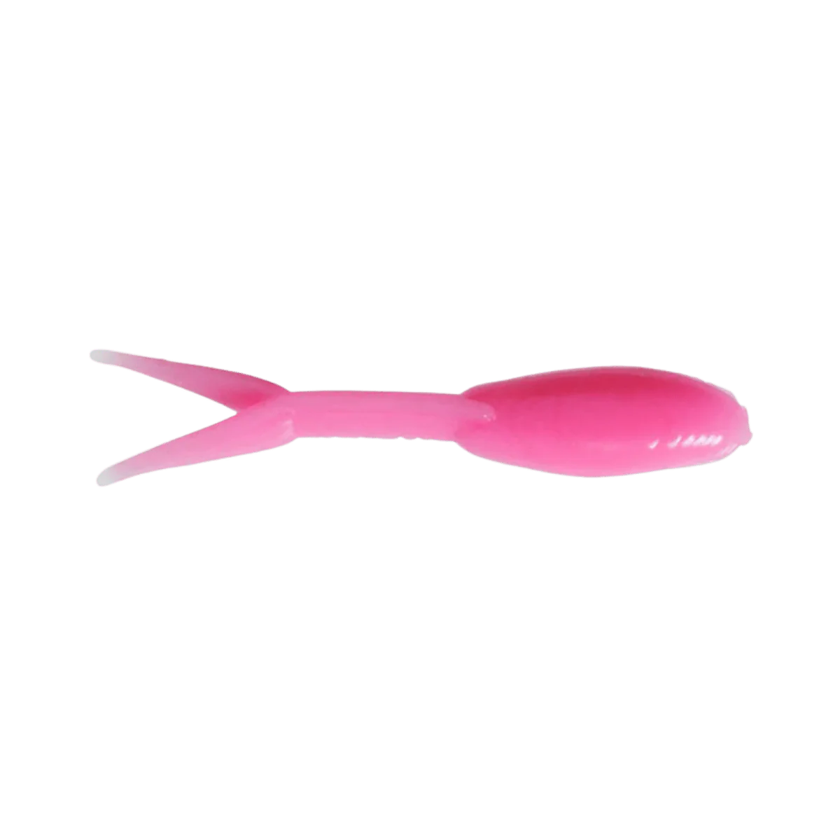 CLAM MINOHEAD TAIL - 1N - Image 3