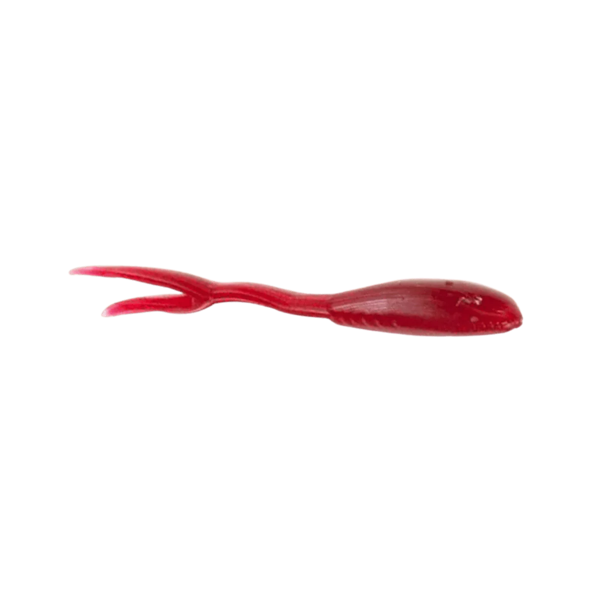 CLAM MINOHEAD TAIL - 1N - Image 5