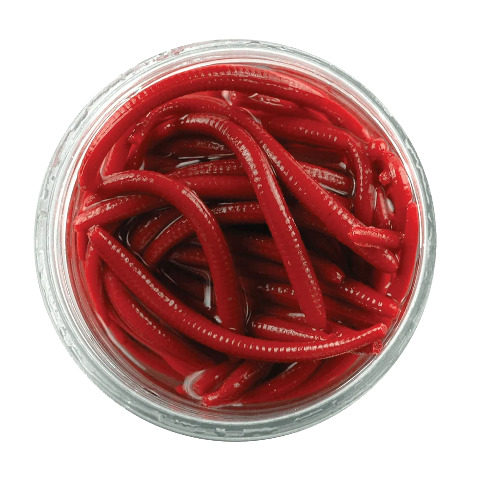 BERKLEY GULP ALIVE ANGLE WORM FISHING LURE 1 IN RED WORM - 2.1OZ JAR - Image 3
