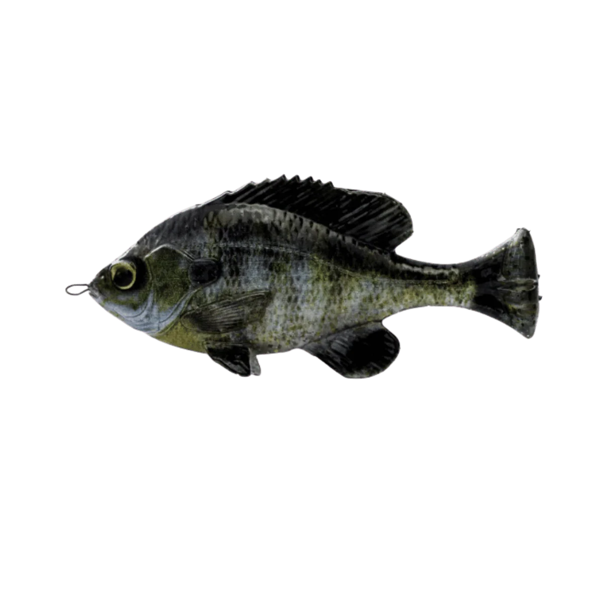 SAVAGE GEAR PULSE TAIL BLUEGILL LOOSE BODY