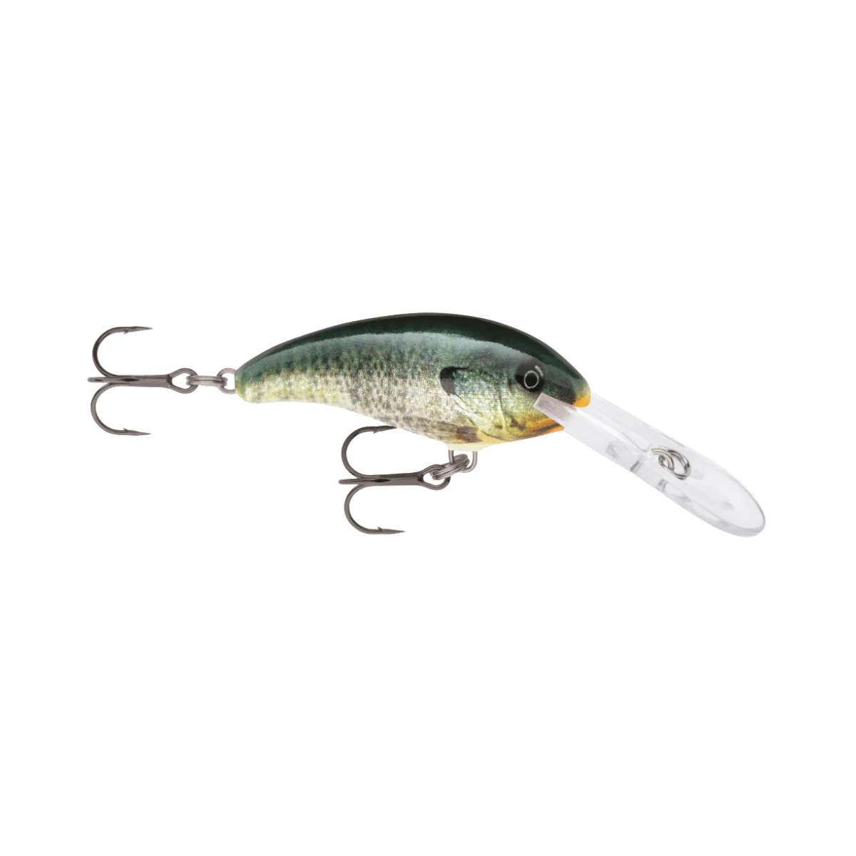 RAPALA SHAD DANCER 07 - Image 4