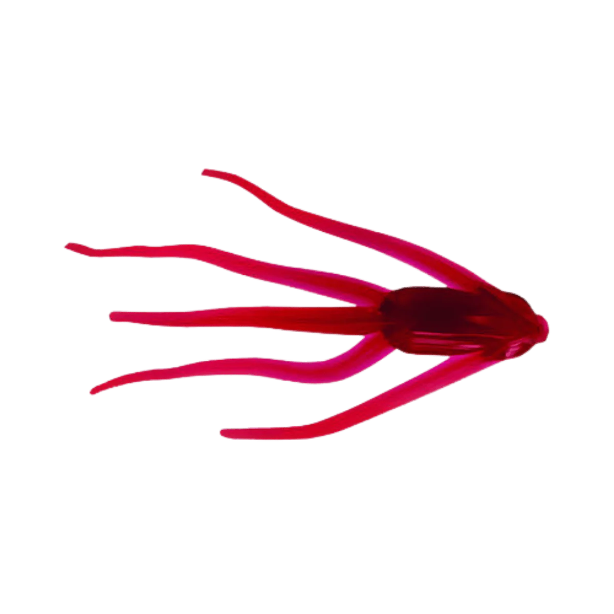 CLAM MAKI LURE -  1-1/4 IN - Image 8