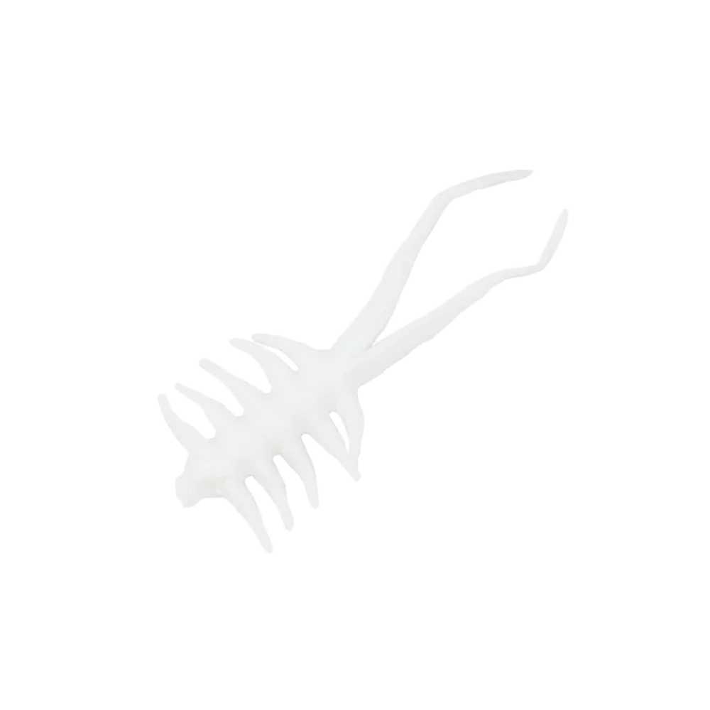 CLAM JAMEI XL - Image 4