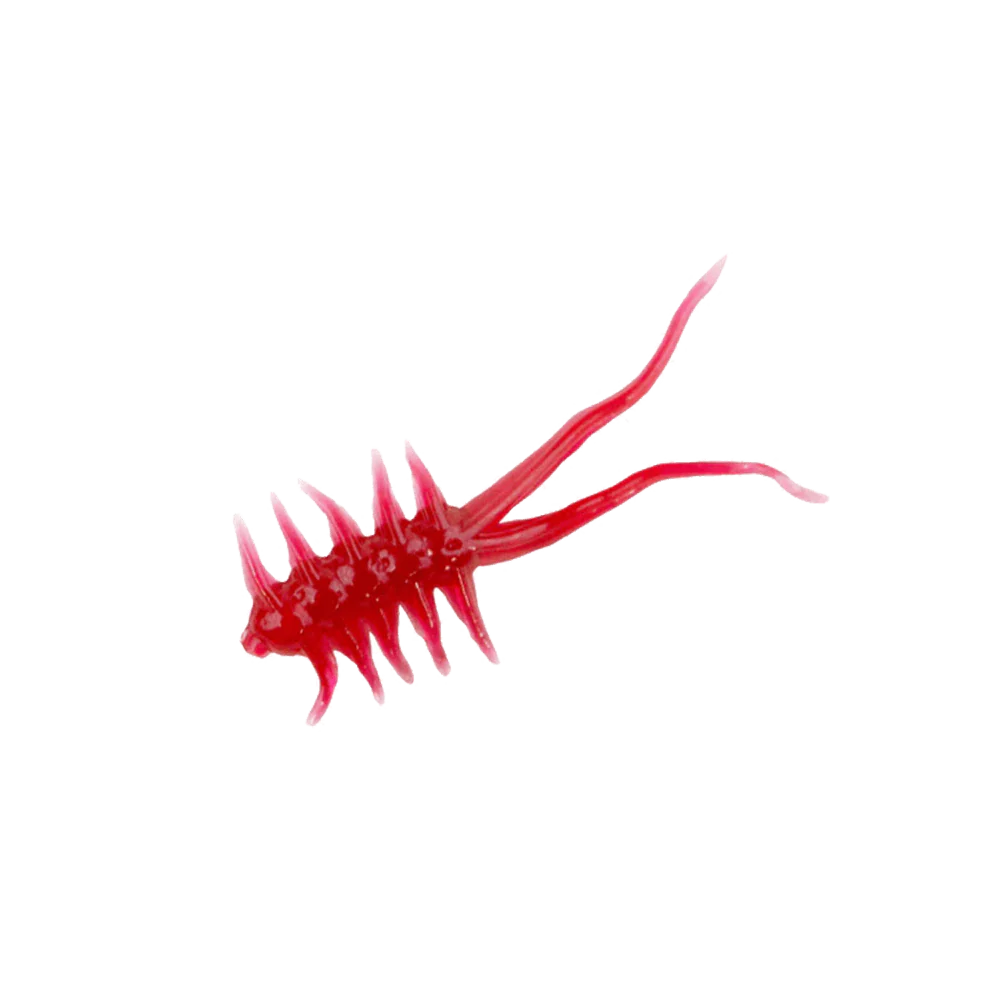 CLAM JAMEI XL - Image 8