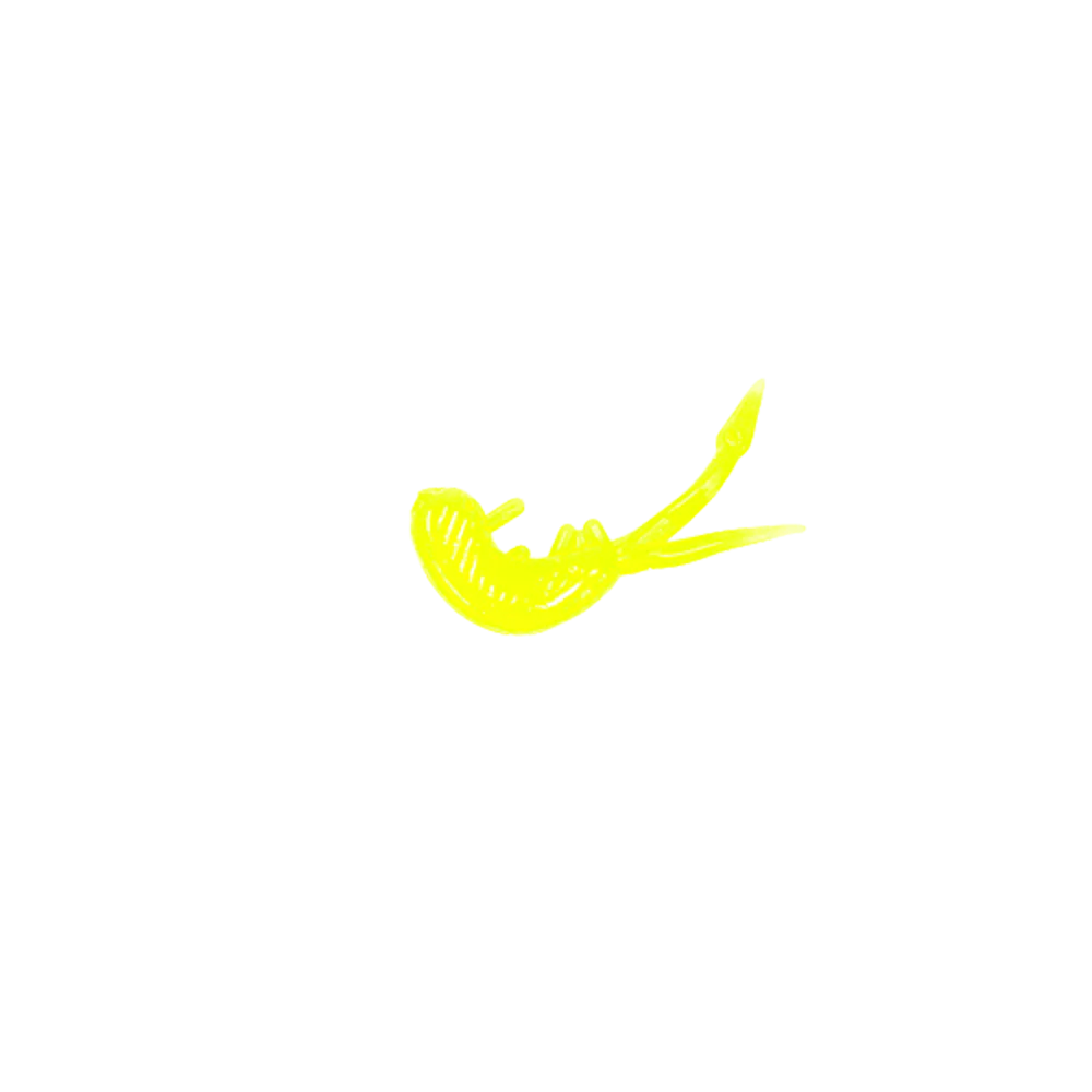 CLAM SCUDI XL - Image 2