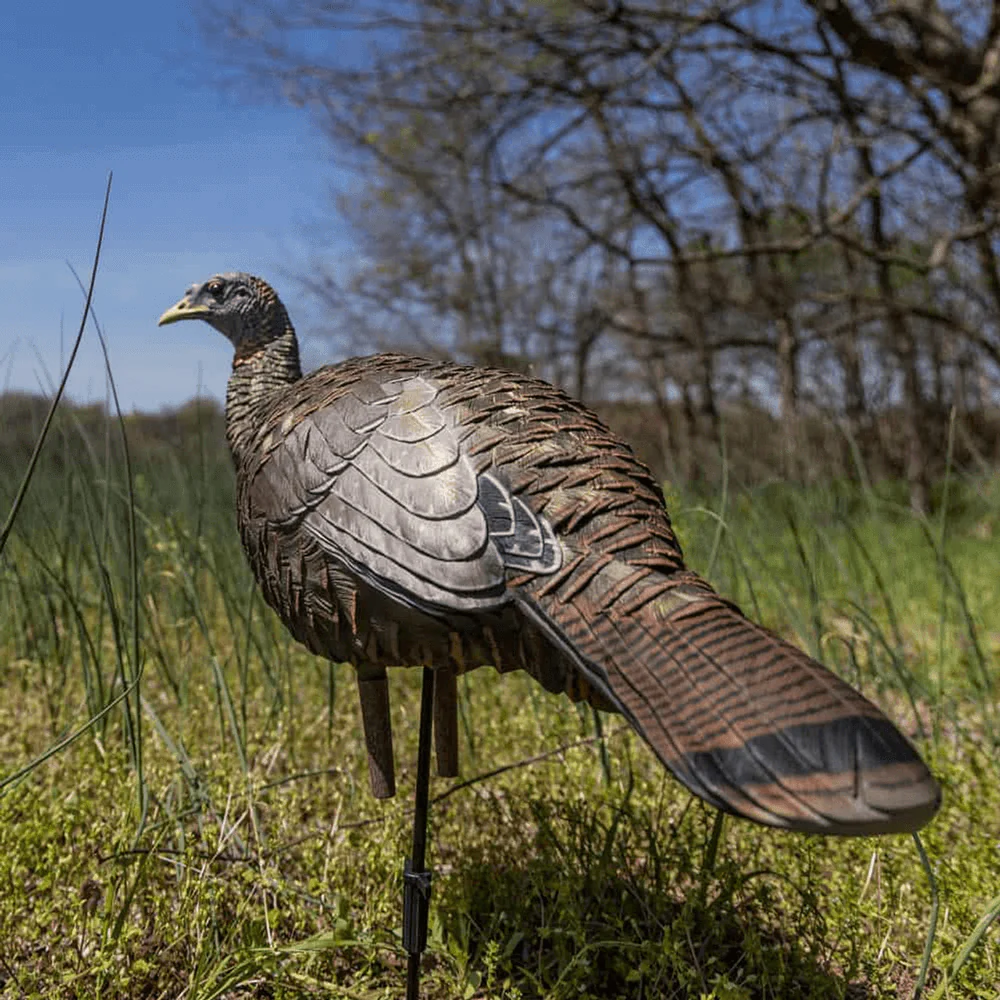 LCD BREEDER HEN TURKEY DECOY - Image 5