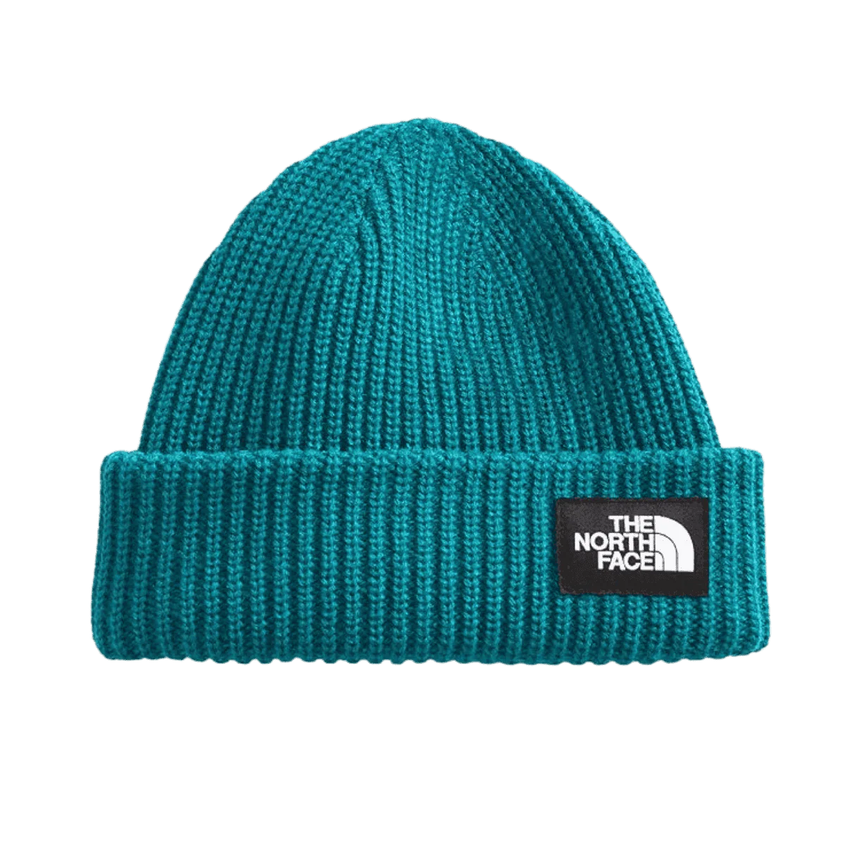 THE NORTH FACE YOUTH SALTY DOG BEANIE - DEEP LAGOON