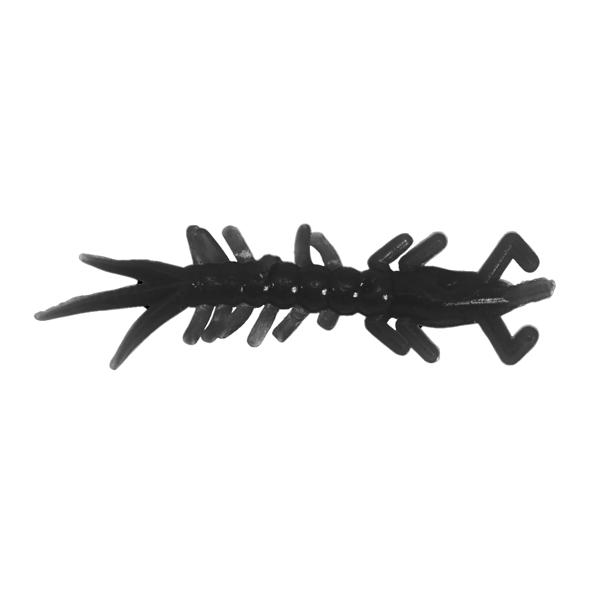 CLAM WAMMI - Image 3