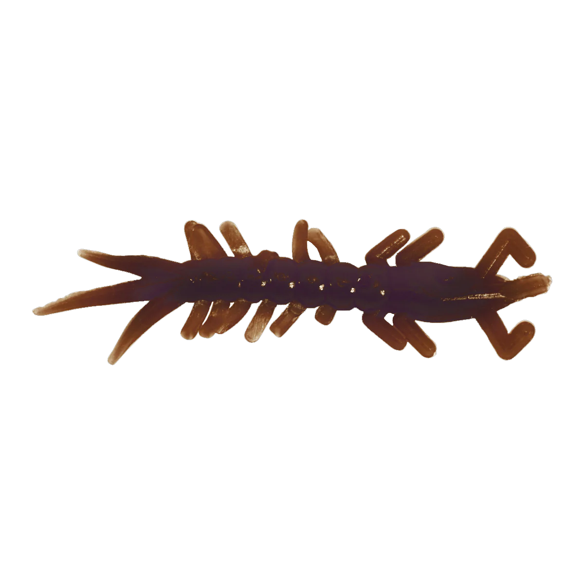 CLAM WAMMI - Image 7