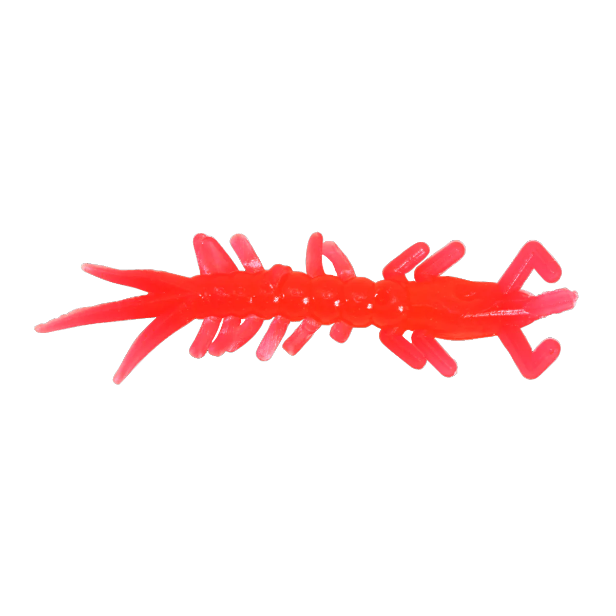CLAM WAMMI - Image 8