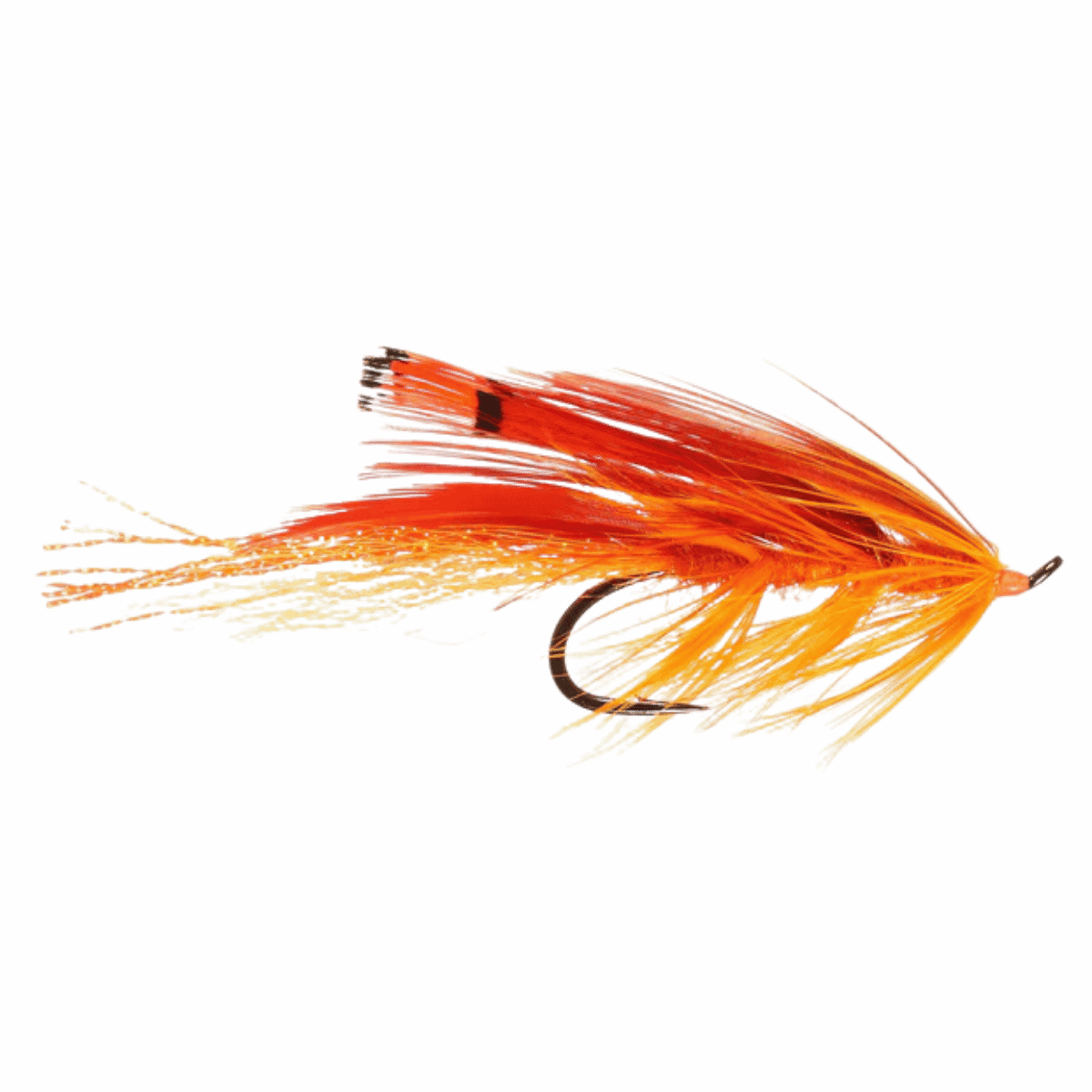 RAINY`S GENERAL PRACTITIONER ORANGE SIZE #02
