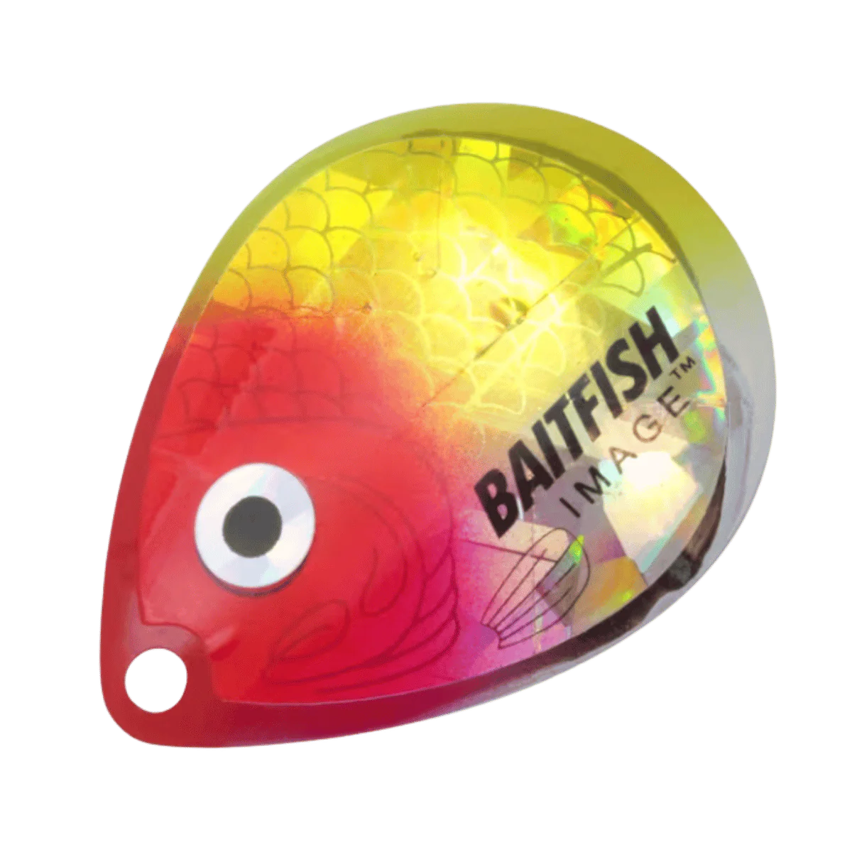 NORTHLAND BAITFISH-IMAGE CO BLADES 3BG #5 - CLOWN