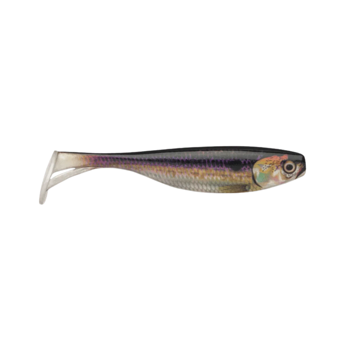STORM LARGO SHAD 3.5IN - Image 12