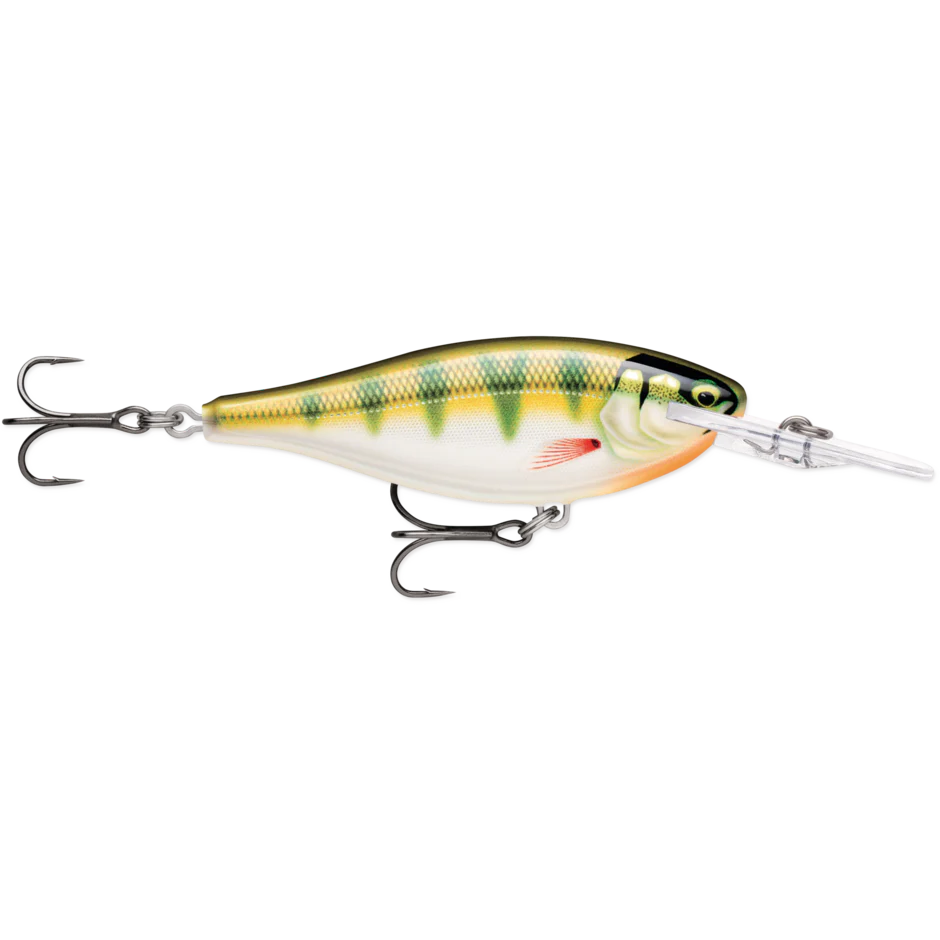 SHAD RAP ELITE - Image 10