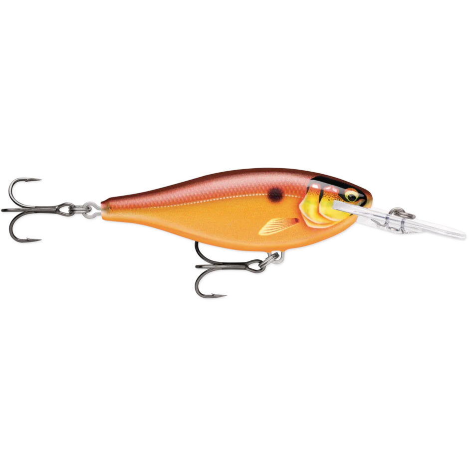 SHAD RAP ELITE - Image 3