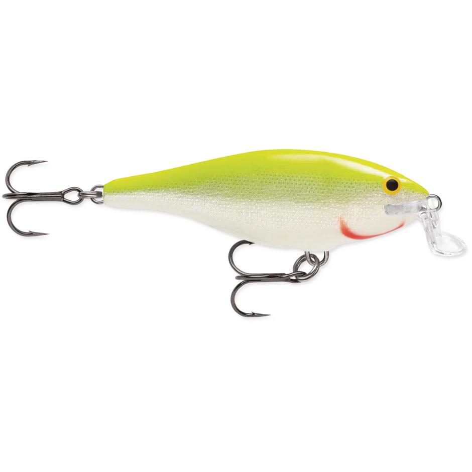 SHALLOW SHAD RAP - Image 11