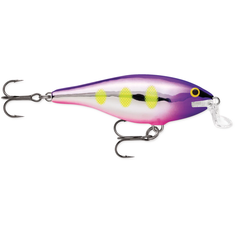 SHALLOW SHAD RAP - Image 12