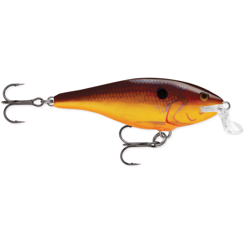 SHALLOW SHAD RAP - Image 4