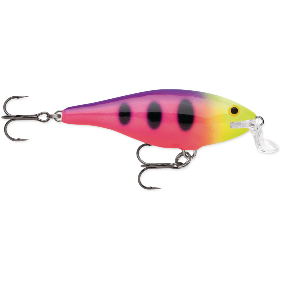SHALLOW SHAD RAP - Image 6