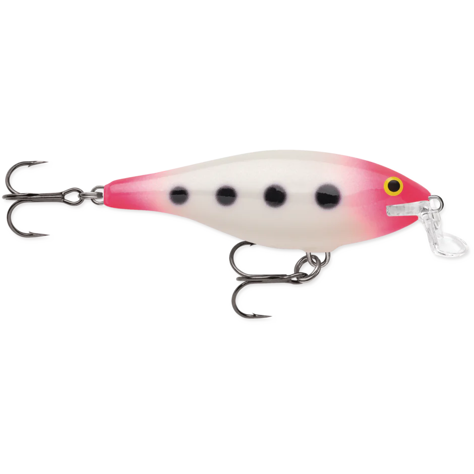 SHALLOW SHAD RAP - Image 7
