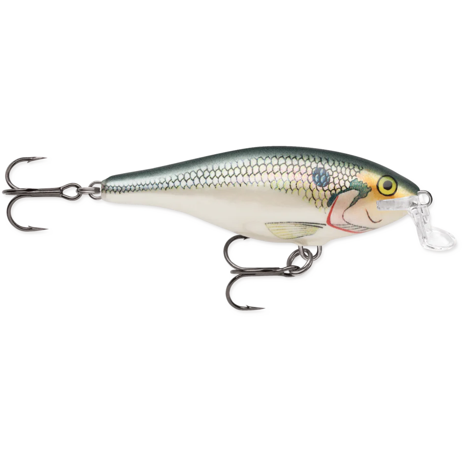 SHALLOW SHAD RAP - Image 9
