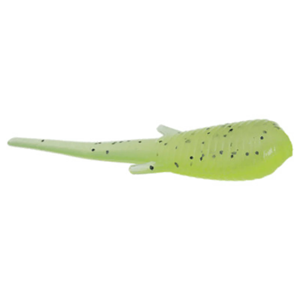 CLAM SOLDIER FLY - Image 3