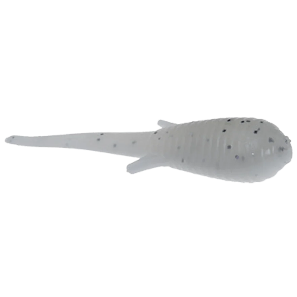 CLAM SOLDIER FLY - Image 5