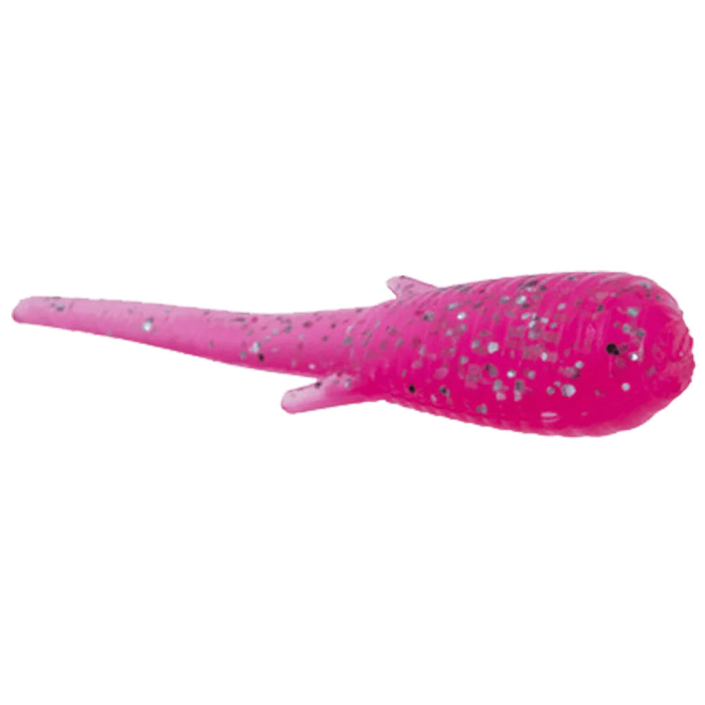 CLAM SOLDIER FLY - Image 6