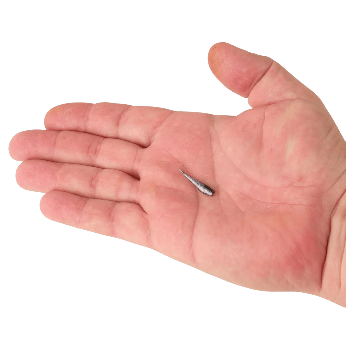 BERKLEY POWERBAIT MINNOW 1IN SCENTED BAIT - Image 2