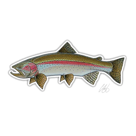 FISH DECALS - Image 10