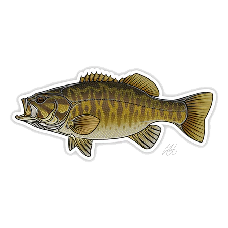 FISH DECALS - Image 11