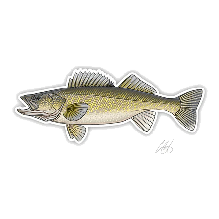 FISH DECALS - Image 15
