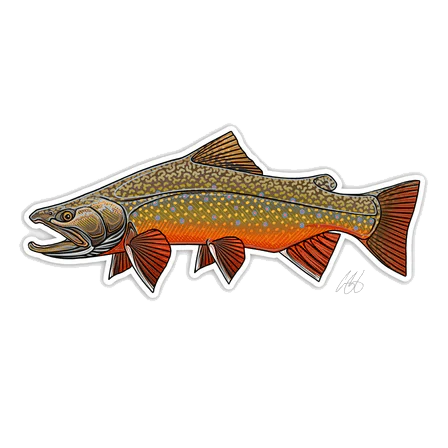 FISH DECALS - Image 3