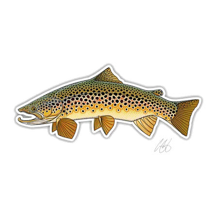 FISH DECALS - Image 4