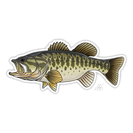 FISH DECALS - Image 5
