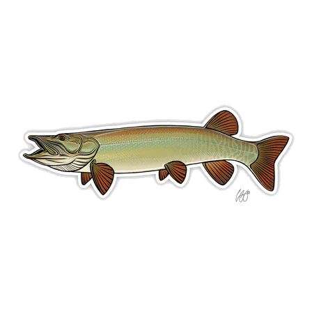 FISH DECALS - Image 6