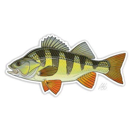 FISH DECALS - Image 7