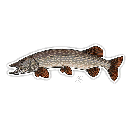 FISH DECALS - Image 8