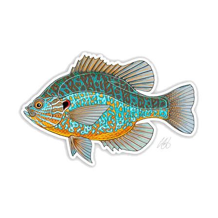 FISH DECALS - Image 9