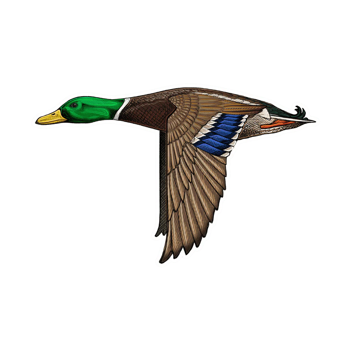 CASEY UNDERWOOD BIRD DECALS