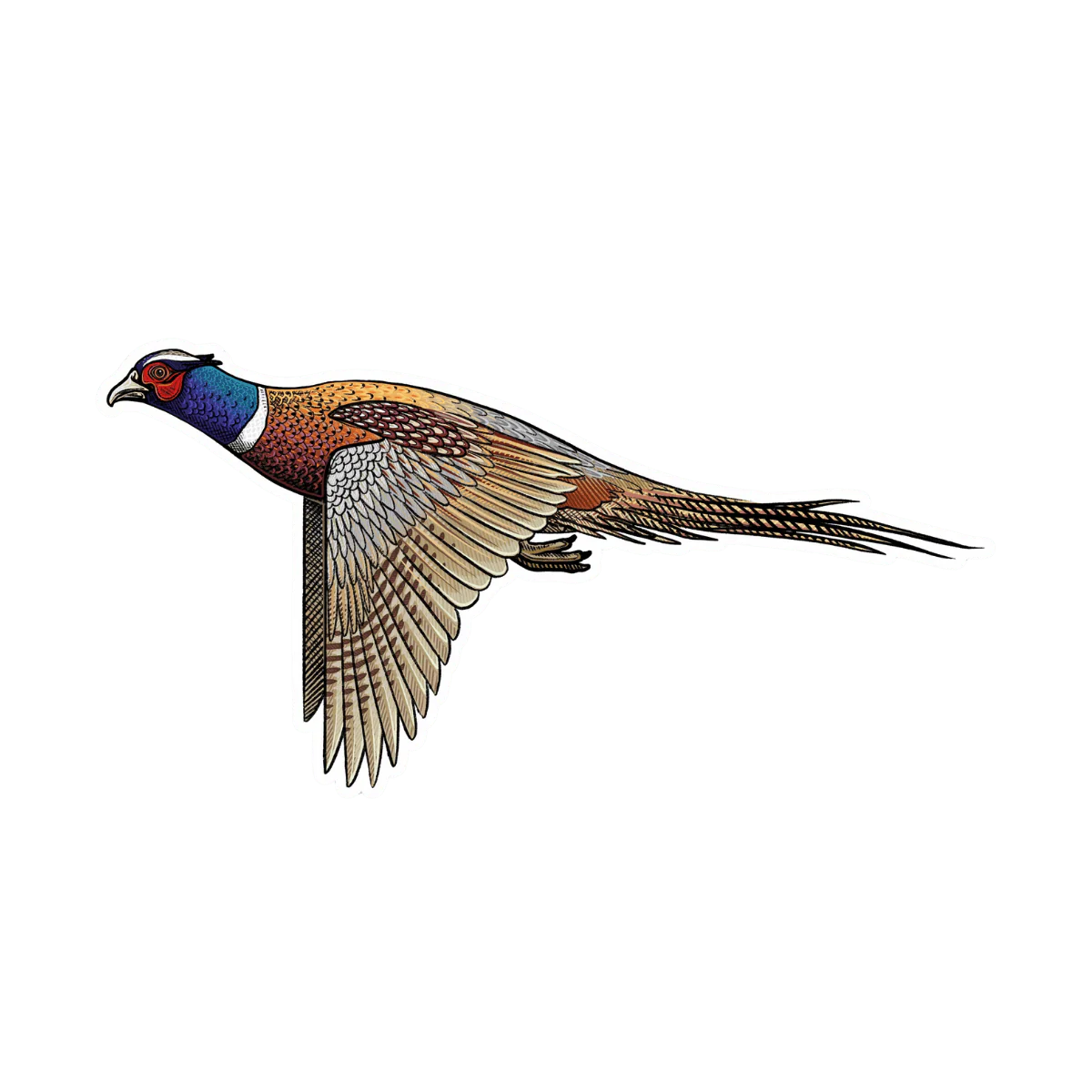 CASEY UNDERWOOD BIRD DECALS - Image 2
