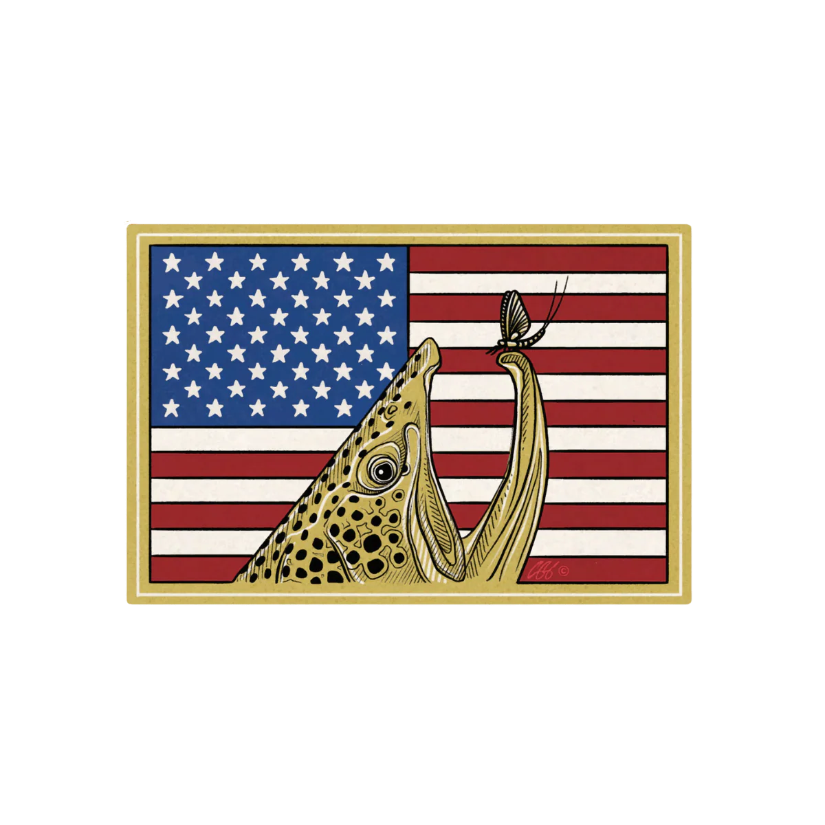 CASEY UNDERWOOD SPECIAL EDITION DECALS - Image 5