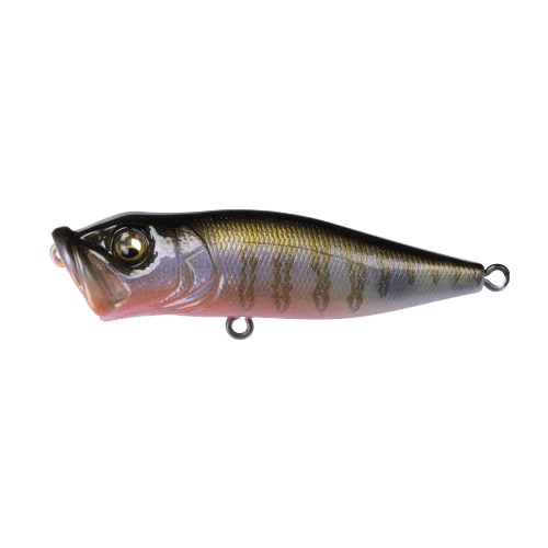 MEGABASS POP-X TOPWATER HARD BAIT - 2-1/2" - Image 5