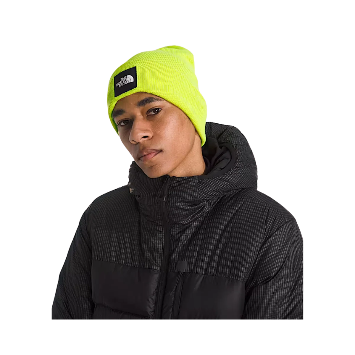 NORTHFACE BIG BOX CUFFED BEANIE - FIZZ LIME - Image 2