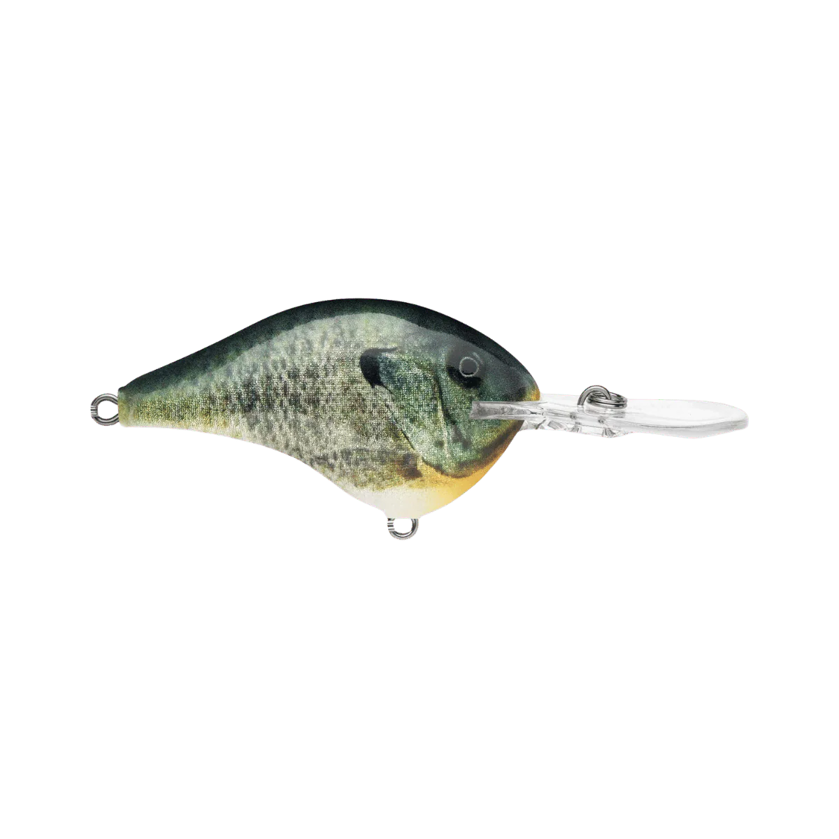 RAPALA DIVES-TO 12' - 2-1/4"IN 3/5 OZ - Image 6