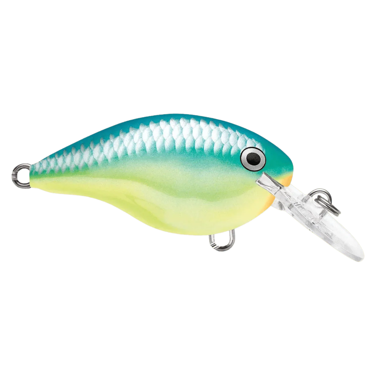 RAPALA DT4 SERIES CRANKBAITS - CARIBBEAN SHAD