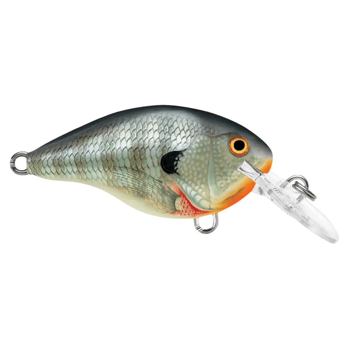 RAPALA DT6 SERIES CRANKBAITS - 2 3/8" - BLUEGILL