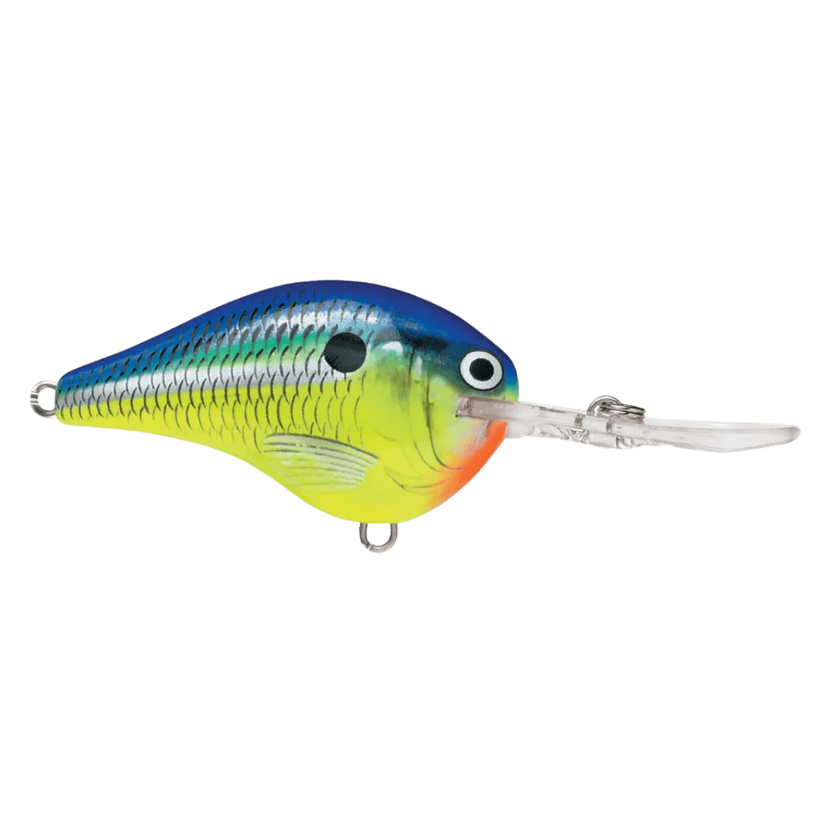 RAPALA DT10 SERIES CRANKBAITS - PARROT 2-1/4IN  3/5OZ