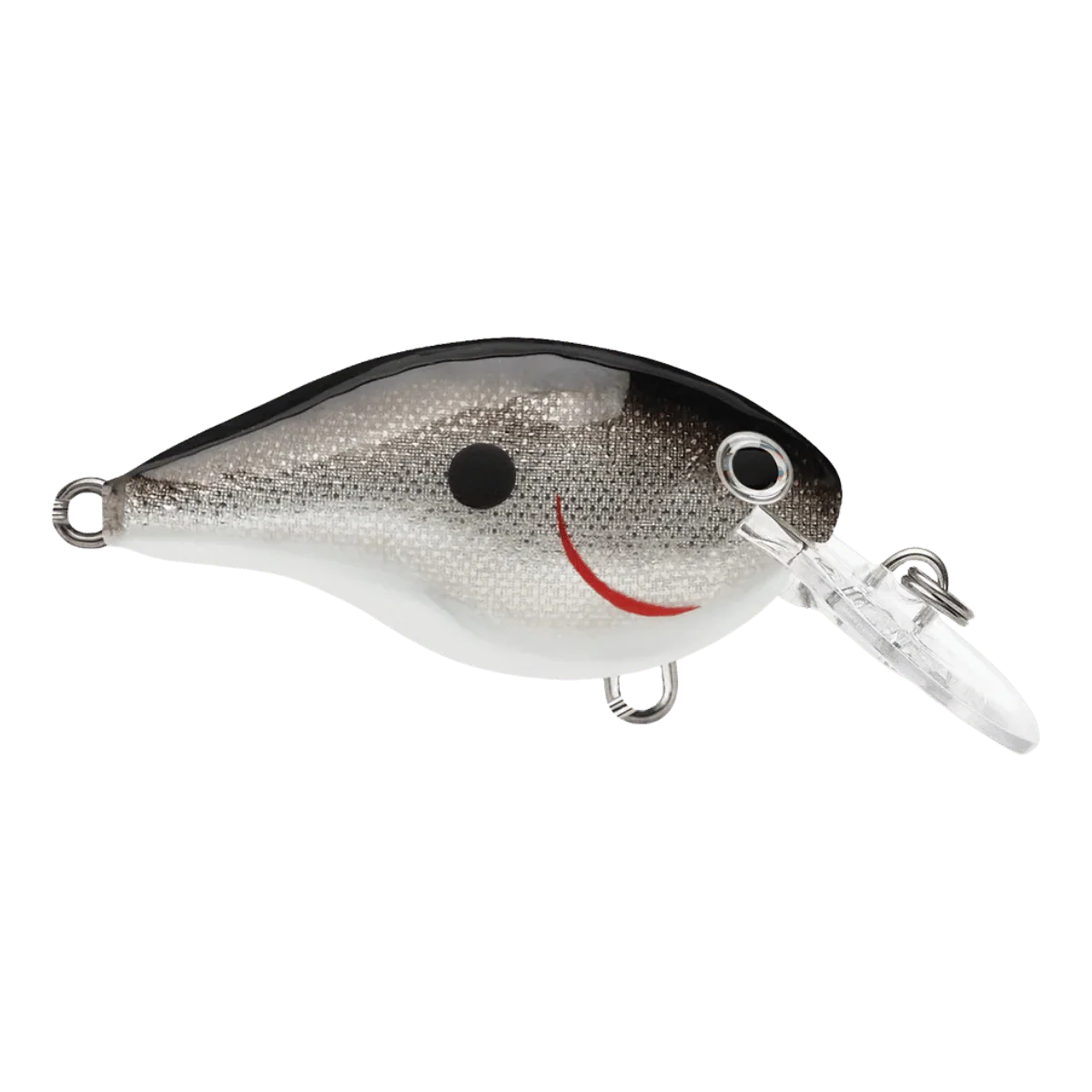 RAPALA DT10 SERIES CRANKBAITS - SILVER 2-1/4IN  3/5OZ